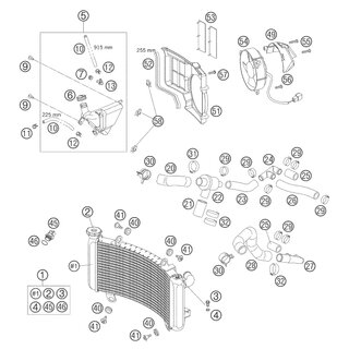 MANGUERA RADIADOR TERM./RAD.