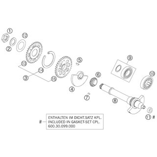 ENGRANAJE DE DISTRIBUCIN 18-T 03