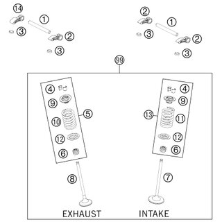 PLATO MUELLE VLVULA
