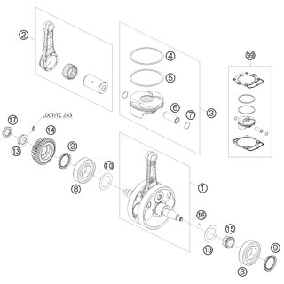 ENGRANAJE DE DISTRIBUCIN 18T.