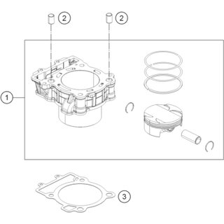 DOWEL D14