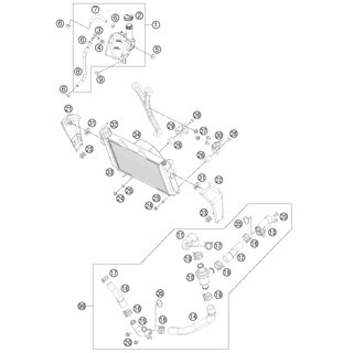 Abrazadera de manguera D24