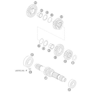 SOLID GEAR 2.G 17T 07