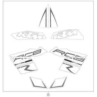 KIT DE CALCAS RC8 R BLANCO 2011