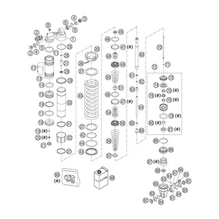 MUELLE D=2,9, L=6,2