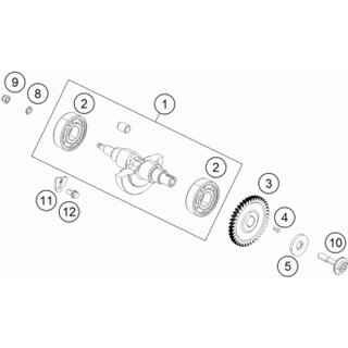 GR. PROFUNDO BOLA BEAR.6304 HN3 C3