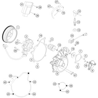 UNIDAD CDI 250 FREERIDE 14