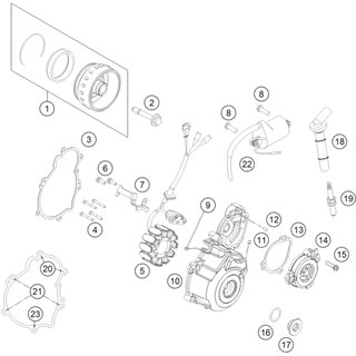 ROTOR EFI CPL.