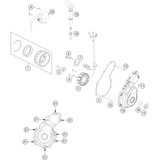 ROTOR EFI CPL.