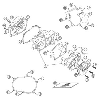 TAPN DE VACIADO DE ACEITE M10 WS=14