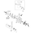 PISTN I CPL. 250 VRTICE 03