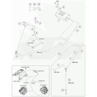 Schlauch Tankentl�ftung-AKF