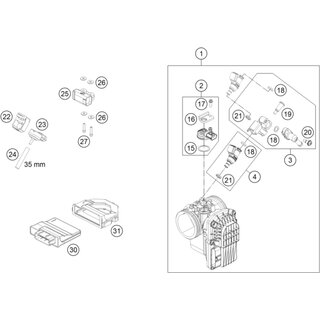 Unidad de control EFI