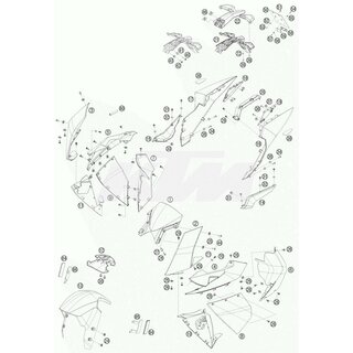 KOTFL�GEL VORNE CARBON