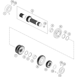 ENGRANAJE LOCO 5. ENGRANAJE