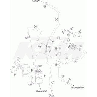 Schlauch Aktivkohlefilter - Ventil