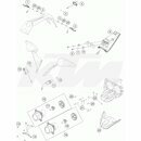 ILUMINACIN DE LA MATRCULA