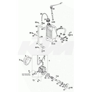 ARANDELA DE SEGURIDAD D=8MM