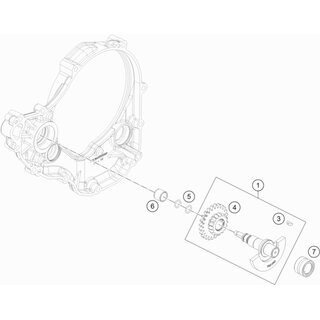 Conjunto de distribucin doble engranaje