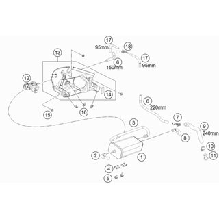 Manguera evap. ca. - purgevalve