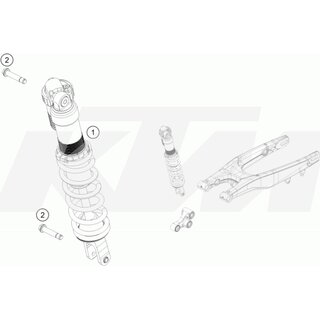 FEDERBEIN 250 SX 2020 US