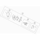 Cuerpo del acelerador