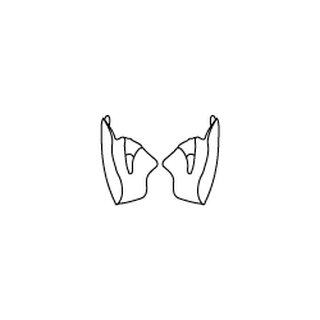 Aviator Cheek Pads L