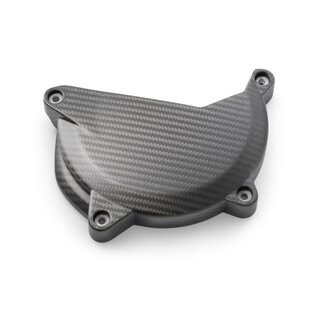 Kupplungsdeckelschutz Carbon Set