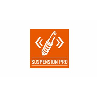 Aktivierung Suspension Pro